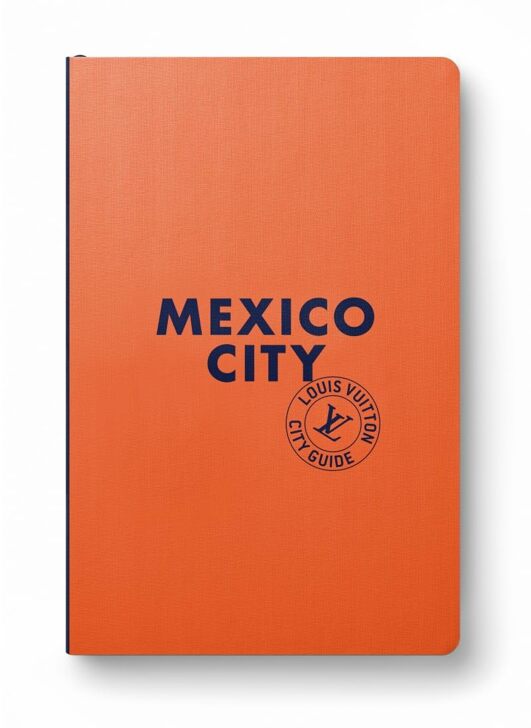 MEXICO CITY GUIDE FR