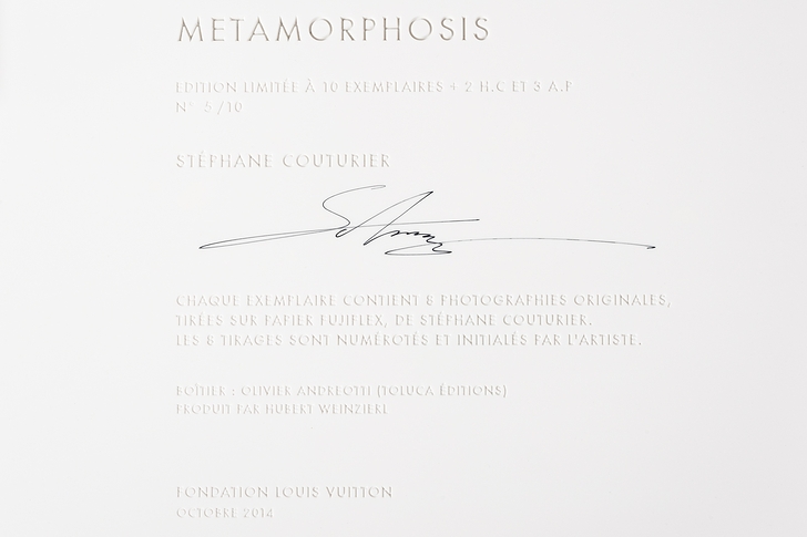 Metamorphosis Stéphane Couturier